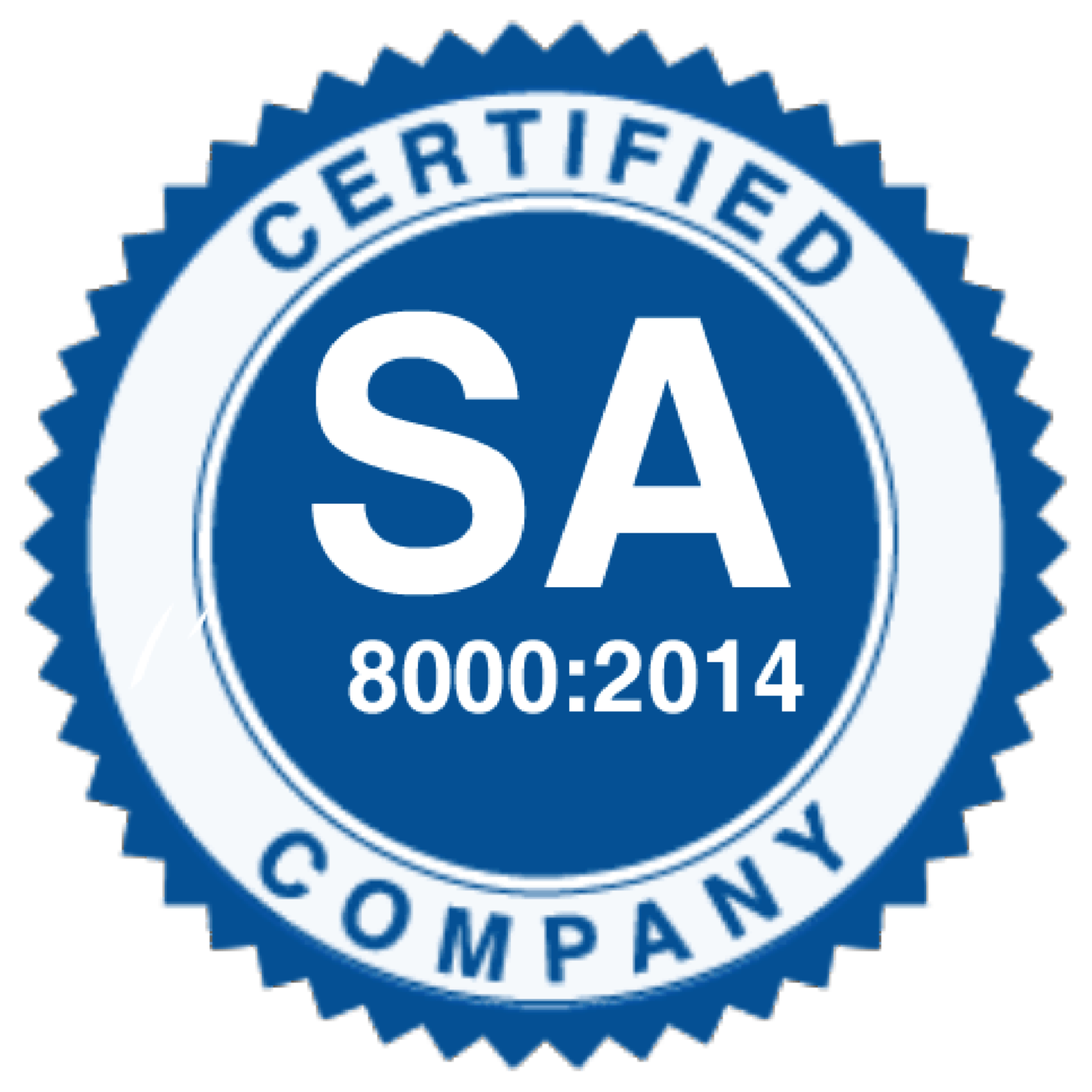 SA 8000